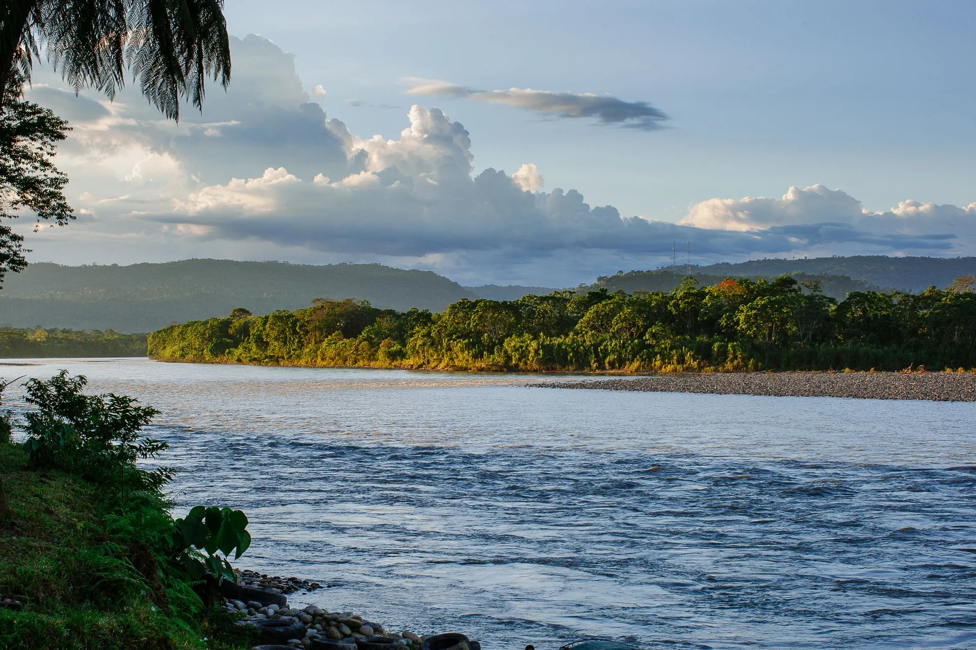 Amazon River surrounded by tropical rainforest in the Peruvian Amazon