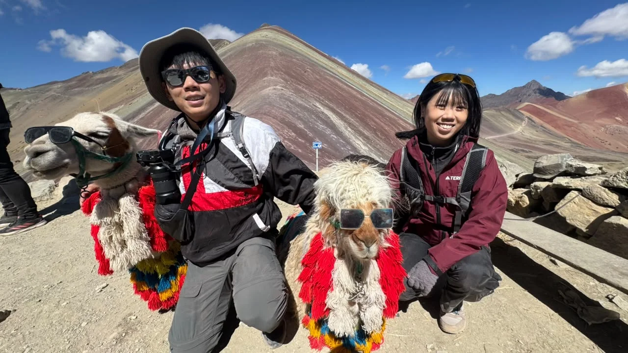 Travelers with alpacas at the Rainbow Mountain viewpoint