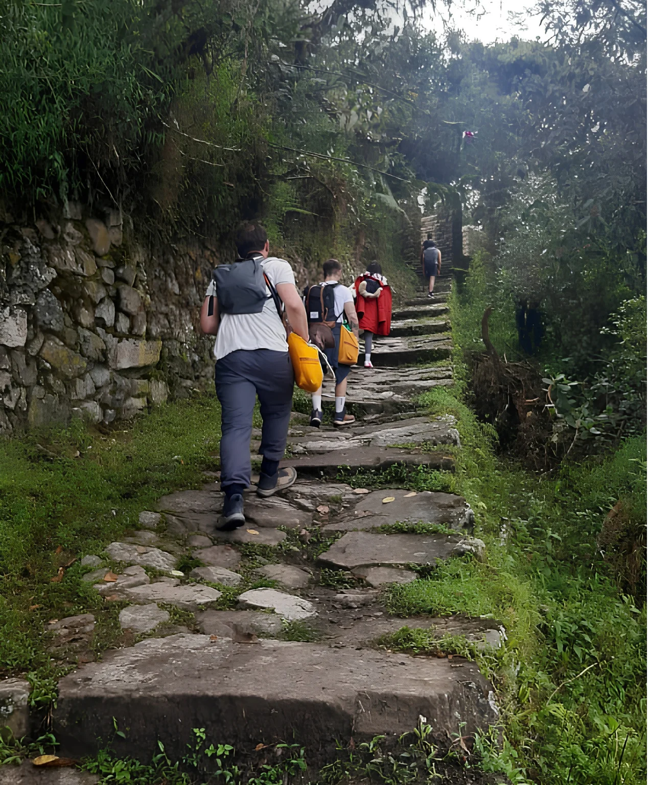 Travelers hiking a stone trail through green vegetation during the Salkantay Trek 5 Days.