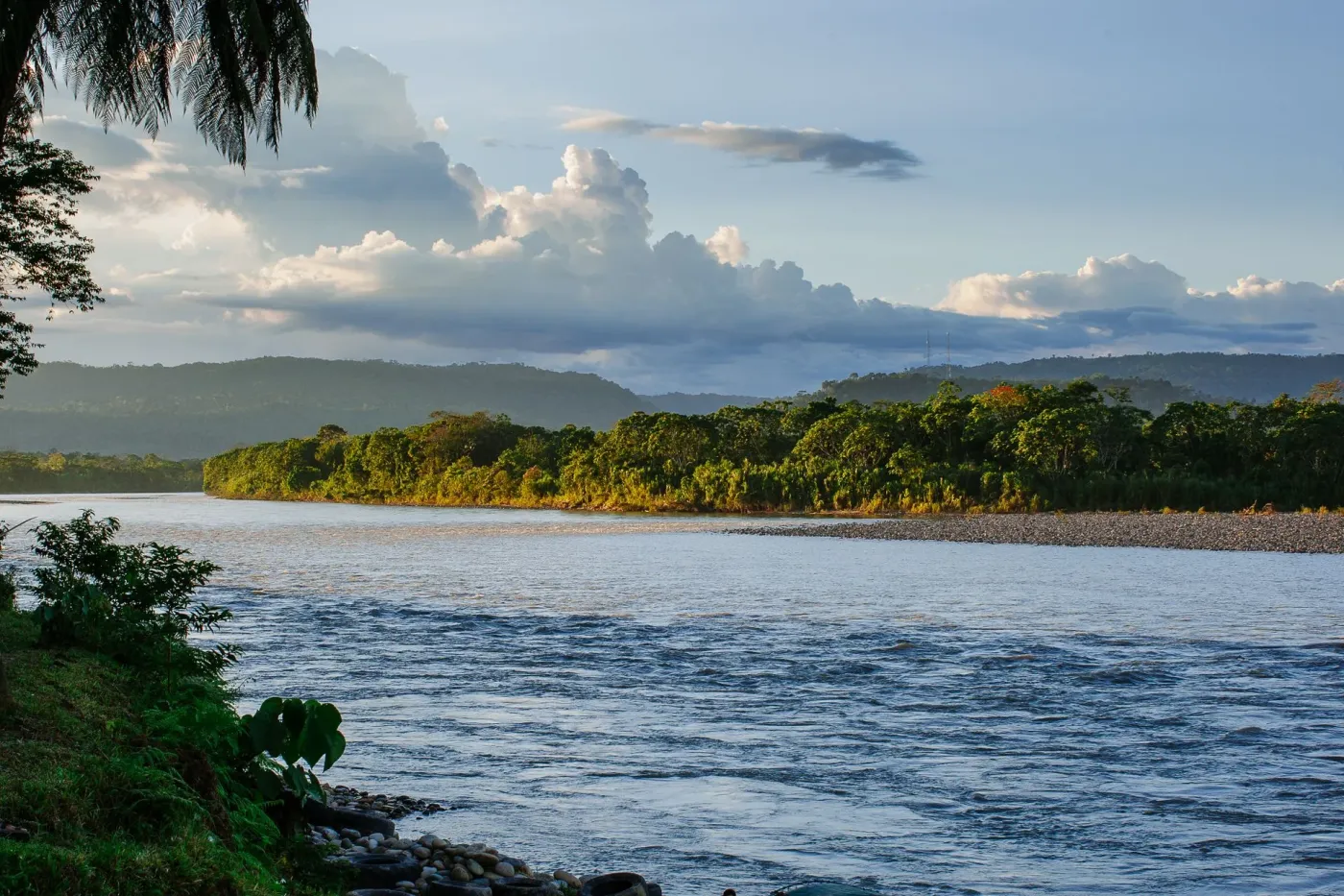 Amazon River surrounded by tropical rainforest in the Peruvian Amazon