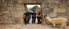 Travelers posing with a llama at Machu Picchu